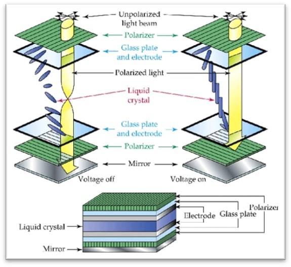 Orient Display | LCD Knowledge | Twisted Nematic / TN LCD