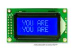 AMC0802BR-B-B6WTDW (8x2 Character LCD Module)