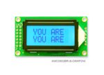 AMC0802BR-B-G6WFDW (8x2 Character LCD Module)