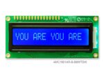 AMC1601AR-B-B6WTDW (16x1 Character LCD Module)