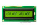 AMC1601AR-B-Y6NFDY (16x1 Character LCD Module)