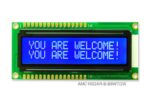 AMC1602AR-B-B6WTDW (16x2 Character LCD Module)