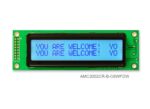 AMC2002CR-B-G6WFDW (20x2 Character LCD Module)