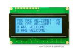 AMC2004AR-B-W6WFDW (20x4 Character LCD Module)