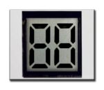 OD-204 (2-Digit LCD Glass Panel)