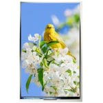 10.1" IPS TFT, 800x1280, All Viewing Angle, Medium Brightness, MIPI Interface