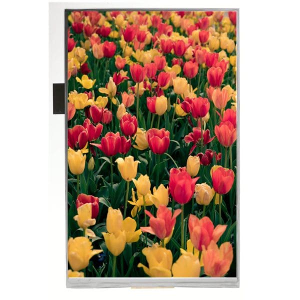 IPS TFT 800×1280